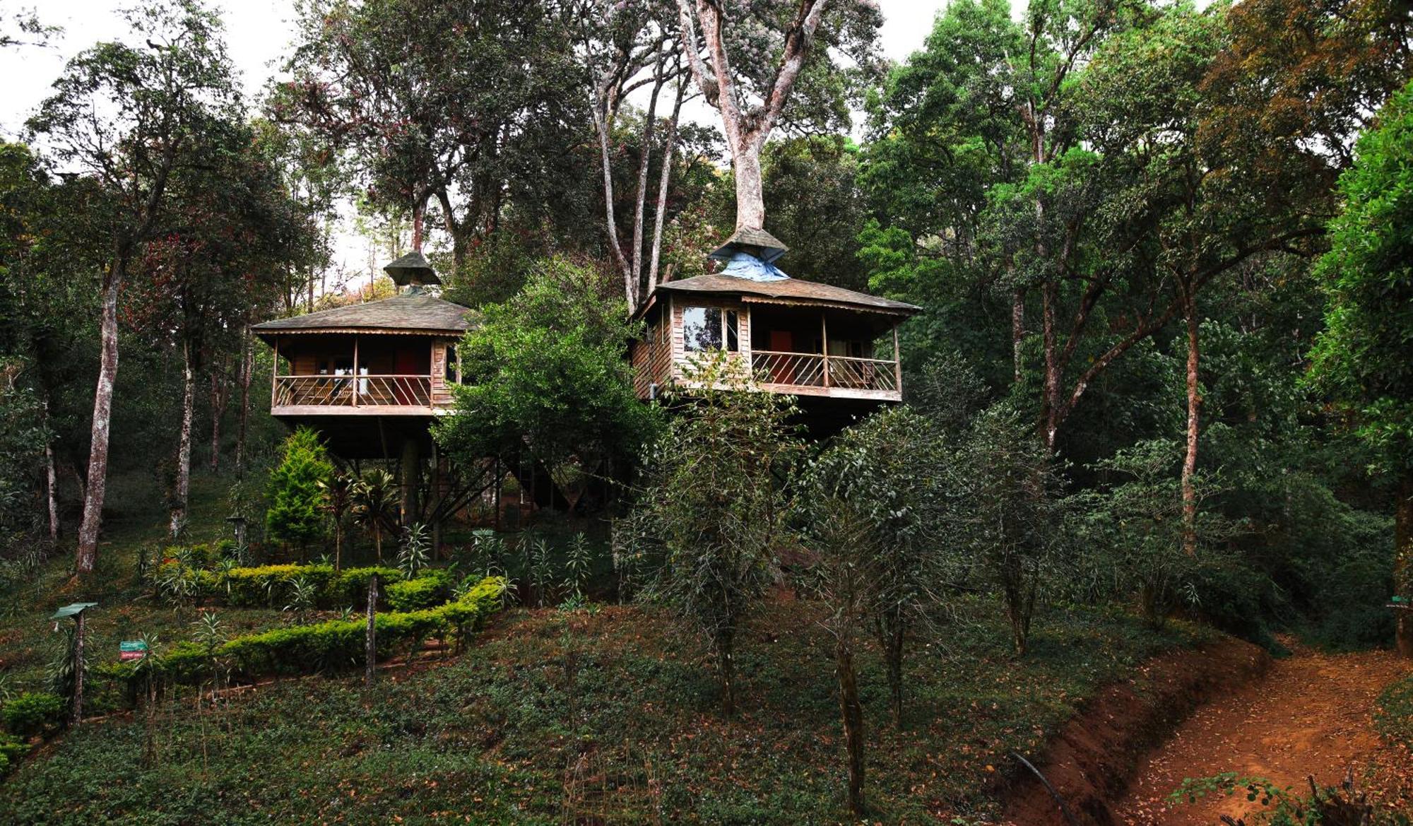 Nature Zone Jungle Resort Munnar Exterior foto